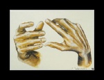 cliquer pour agrandir